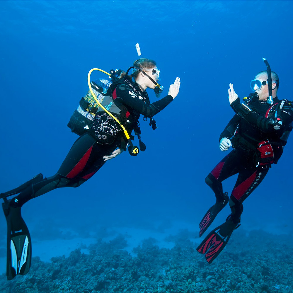 Курс Padi Boat Diver